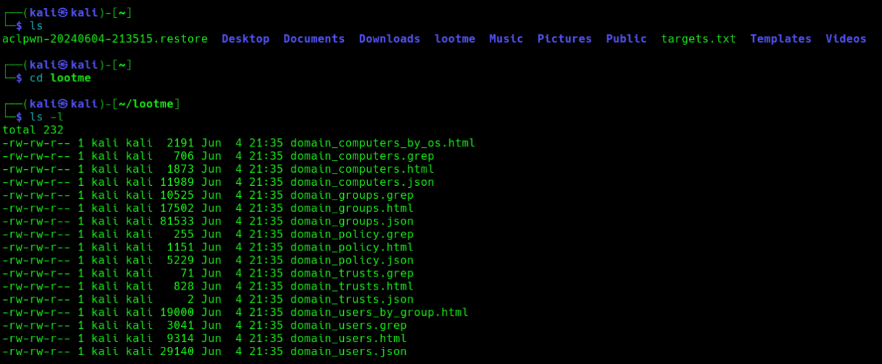 [Active Directory] IPv6 DNS takeover via MItM | VK9 Security